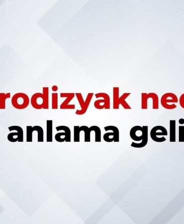 nedir (18)