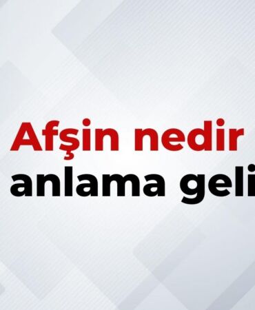 nedir (19)