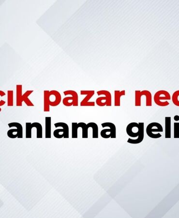 nedir (2)