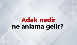 nedir (6)
