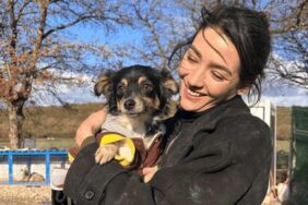 Aybüke Pusat'ın sokak hayvanları için başlattığı kampanyaya bir günde 3 katı bağış!