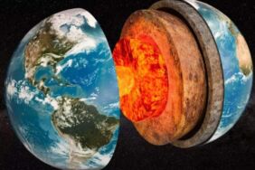 Bilim insanları'ndan muhteşem keşif! Toprağın derinliklerinde gizemli yeni yaşam formları...