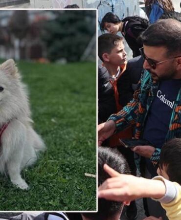 Kaybolan köpeği 'Şeker'i bulana 50 bin TL ödül!