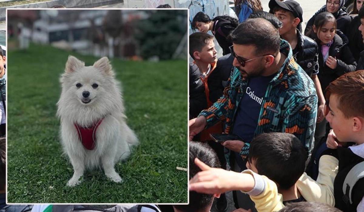 Kaybolan köpeği 'Şeker'i bulana 50 bin TL ödül!