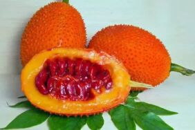 Kudret narının faydaları nelerdir Kudret narı tüketmenin avantajları ve etkileri