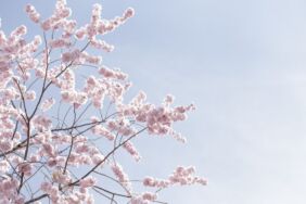 Meteoroloji açıkladı 13 Nisan 2025 Pazar hava durumu raporu… Bugün hava nasıl olacak