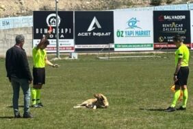 Sahaya giren köpeği önce sevdi sonra kırmızı kart gösterdi!