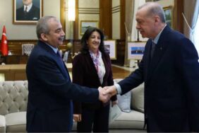 dem parti erdoğan görüşme