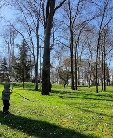 hava durumu bahar