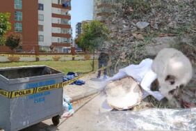 Adana'da çöp konteynerinde insan kafatası bulundu