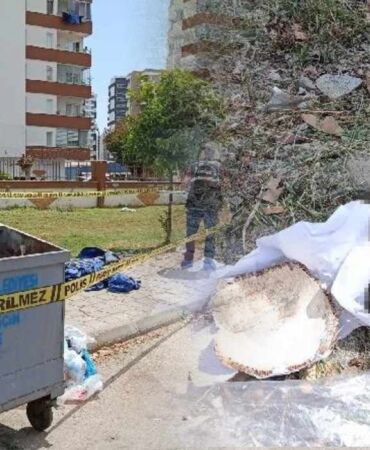 Adana'da çöp konteynerinde insan kafatası bulundu