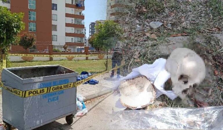 Adana'da çöp konteynerinde insan kafatası bulundu