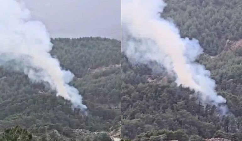 Antalya'da orman yangını! Bölgeye çok sayıda ekip yönlendirildi