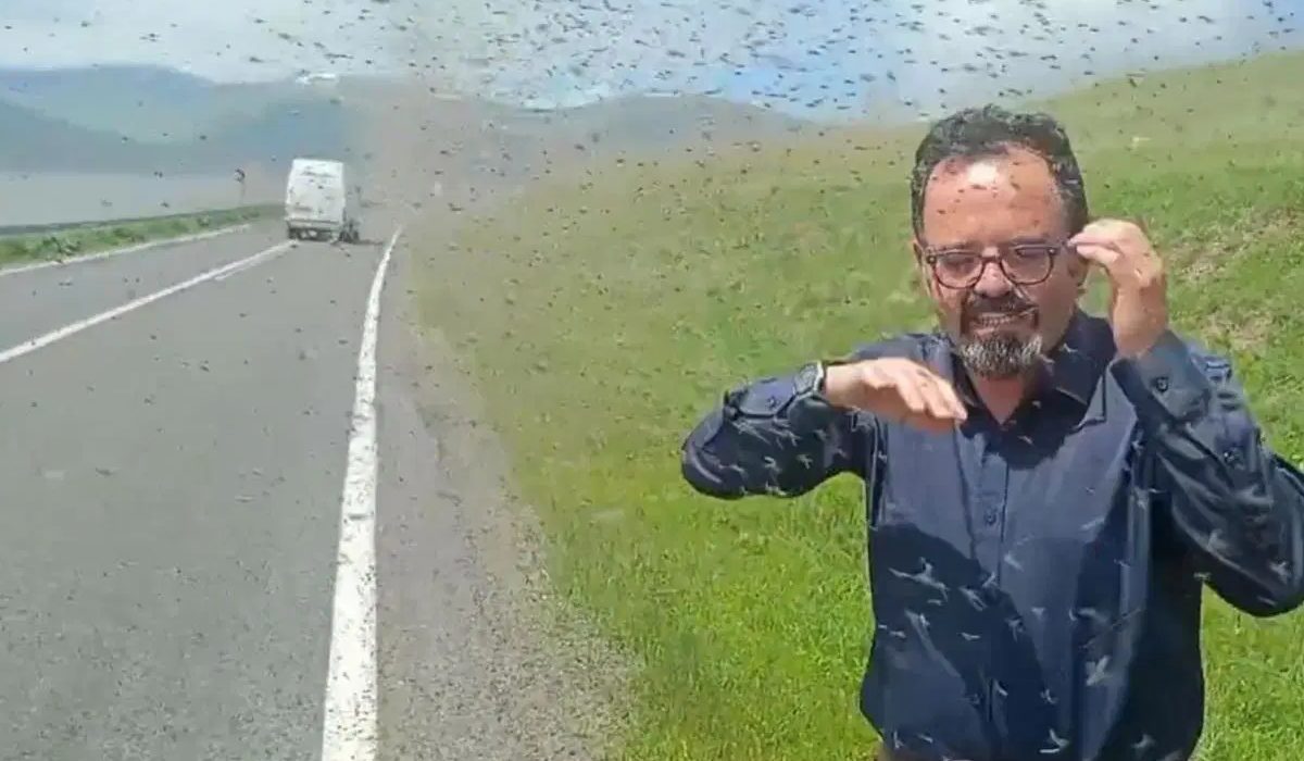Çıldır Gölü çevresi yeşil sineklerle kaplandı, seyir halindeki sürücüler zor anlar yaşadı!