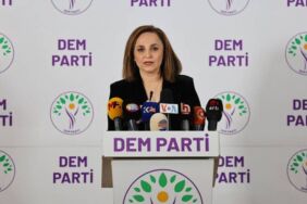 DEM Parti Sözcüsü Ayşegül Doğan