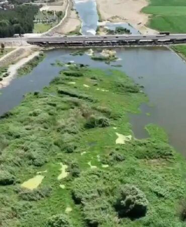 Dicle Nehri'ndeki adacıklarda 100 milyon liralık uyuşturucu yakalandı!