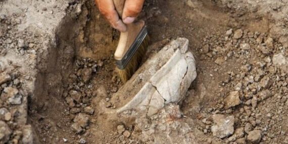 İzmir’de çiftçinin iş makinesine takıldı: Roma dönemine ait 2 bin yıllık mezar taşları bulundu!