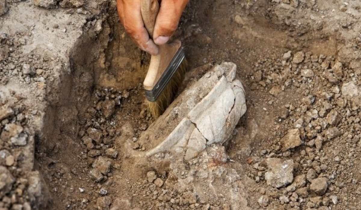 İzmir'de çiftçinin iş makinesine takıldı Roma dönemine ait 2 bin yıllık mezar taşları bulundu!