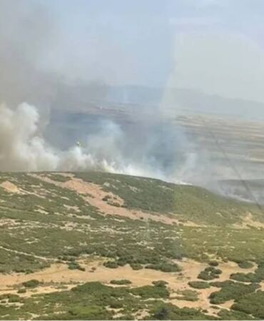 İzmir'de korkutan yangın