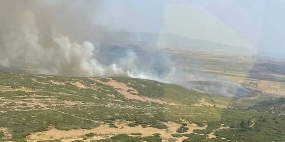 İzmir’de korkutan yangın: Araziden ormana sıçradı!