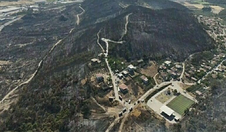 İzmir Aliağa’da bir orman yangını daha