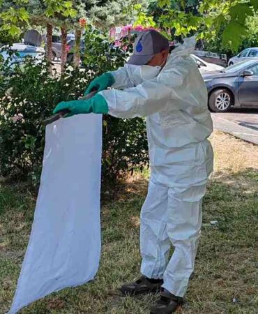 İBB’den yaz boyunca keneye karşı tam mesai İstanbul’da KKKA riski düşük ama önlemler sürüyor