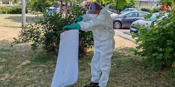 İBB’den yaz boyunca keneye karşı tam mesai: İstanbul’da KKKA riski düşük ama önlemler sürüyor