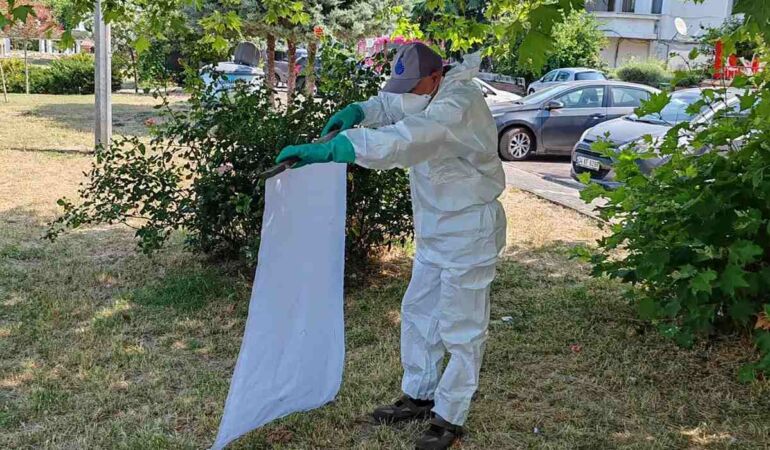 İBB’den yaz boyunca keneye karşı tam mesai İstanbul’da KKKA riski düşük ama önlemler sürüyor