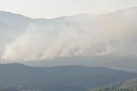 İzmir'in Seferihisar'daki orman yangınına havadan müdahale başladı!