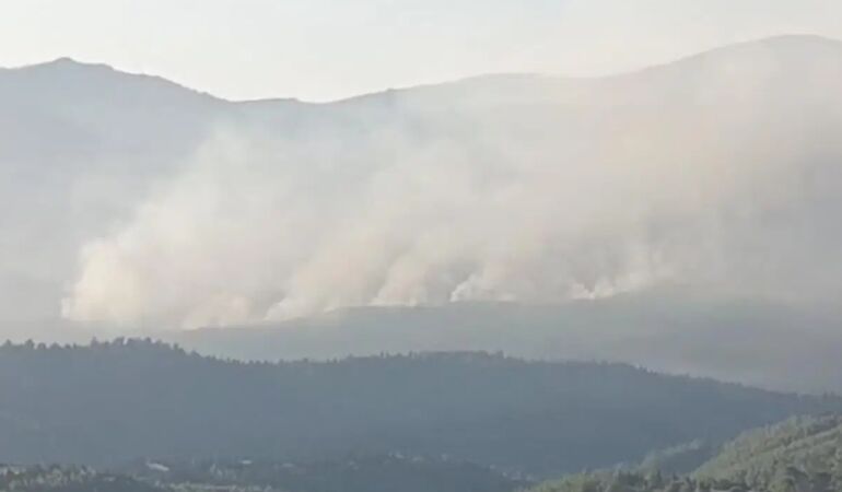 İzmir'in Seferihisar'daki orman yangınına havadan müdahale başladı!