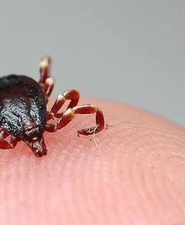 Keneden üçüncü ölüm KKKA hastalığı şüphesiyle tedavi gören kişi hayatını kaybetti