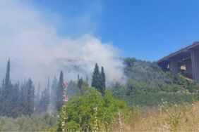 bursa orman yangını