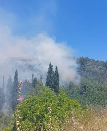 bursa orman yangını