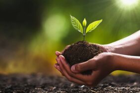 dünya çevre günü