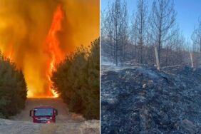 izmir orman yangını