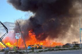 kocaeli palet fabrikası yangın