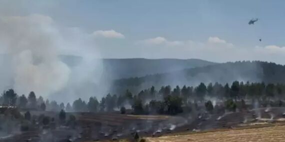 Kastamonu’da anız yangını ormana sıçradı: 10 hektar alan yandı