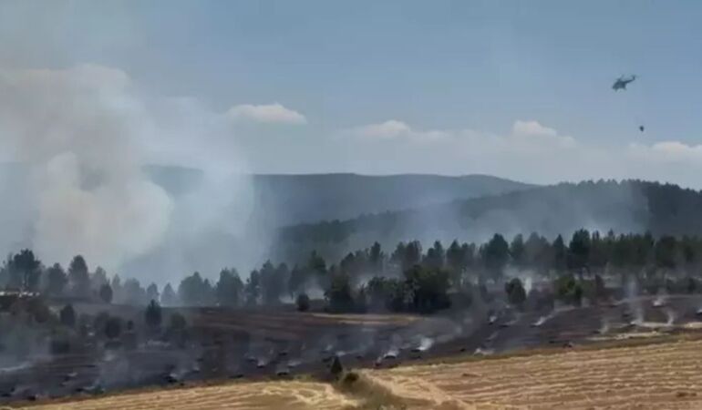Kastamonu’da anız yangını ormana sıçradı: 10 hektar alan yandı
