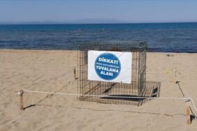 Adsız tasarım (23)