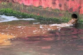 Adsız tasarım (46)