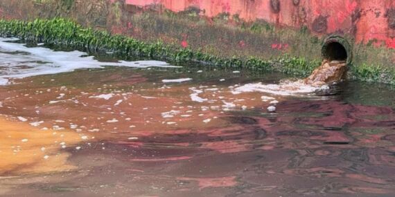 Marmara’da kirliliğe neden olan tersaneye ceza!