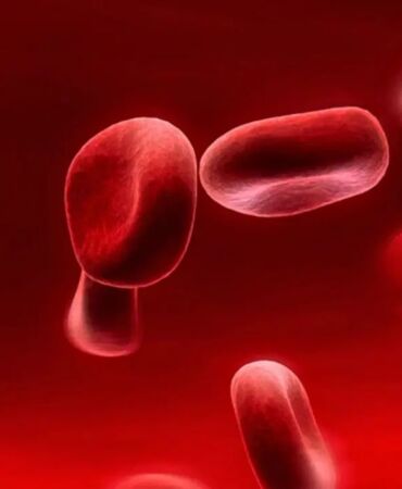 Adsız tasarım (71)