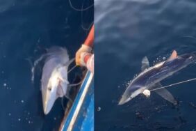 Adsız tasarım (80)