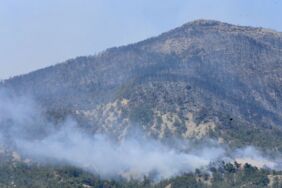 Adsız tasarım (84)