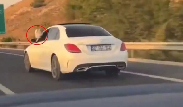 Ayakları dışarıda araç kullandığı için tepki çeken görüntülerin sahibi başsavcının oğlu çıktı!