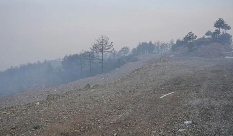 Bursa’da hava kirliliği alarmı: Yangın sonrası şikayetler yüzde 30 arttı!