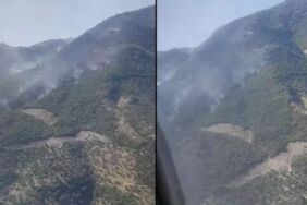 Doğa yardım bekliyor Aydın’daki alevler ikinci günde de dinmedi!