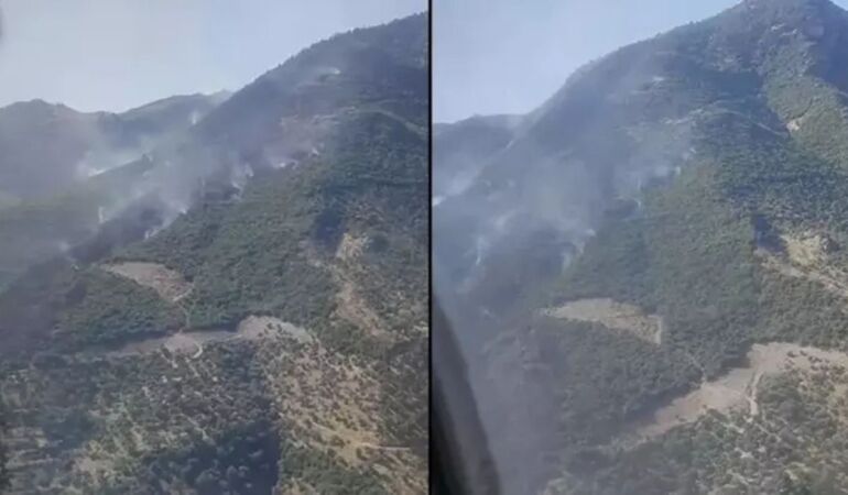 Doğa yardım bekliyor Aydın’daki alevler ikinci günde de dinmedi!