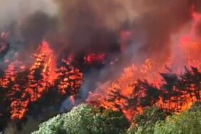 Hatay Dörtyol'da orman yangını Üç mahalle tahliye edildi!