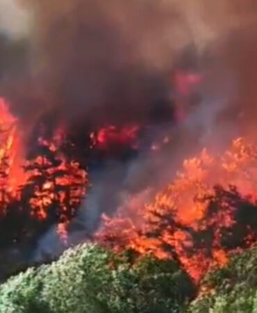 Hatay Dörtyol'da orman yangını Üç mahalle tahliye edildi!
